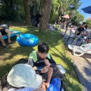 마이테르수영장 | 제주도 마이테르 수영장 솔직후기 내돈내산