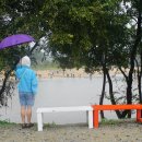 안동(춘천) 이미지