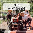소나무흙집민박 이미지