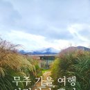 무주연가 | 🌿 무주 서림연가 L3 객실 후기 | 4인가족 만족한 감성숙소 완벽후기!