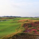 링스골프존 이미지