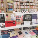 중독된냥 이미지