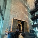 파라디소 | 인천 파라다이스시티 아트파라디소 다이닝 세라세 후기 3탄 | 분위기 좋은 호텔 레스토랑✨코스후기