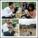 서문초등학교 이미지