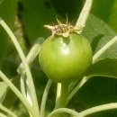 산들애농원 이미지