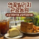 주말 양주 아이와 가볼만한곳, 경기북부카페 연꽃빌리지관광농원