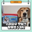 슈퍼포우 펫밀크 활용법 5가지