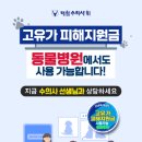 라비동물병원 네이버블로그