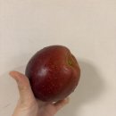 설리 | 배달앱 두잇 과일 내돈내산 솔직후기/임산부 과일 추천/엔부사과 설리복숭아 후기