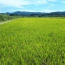 화진포둘레길(죽정리) 이미지