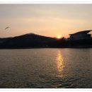 유락횟집 이미지