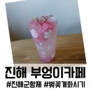 GS25(진해경화점) | 진해 경화동 카페 부엉이카페, 진해군항제 경화역 벚꽃길 옆 힐링스팟 후기 (벚꽃 개화시기)