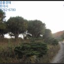 가덕리 경로당 네이버블로그