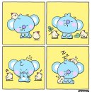 코야