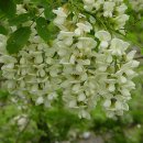 서울목동초등학교 이미지