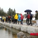 횡성한우축제장(섬강둔치) 이미지