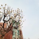 [실천학교] 아침 운동 교실 네이버블로그