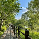 로하스캠핑 이미지