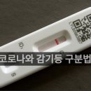 코로나 인 듯 코로나 아닌.. 감기, 인후염, 레지오넬라증 구분법 이미지