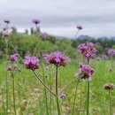 남도 행정사 사무소 이미지