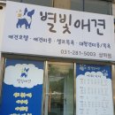 별빛 애견호텔 이미지