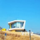 씨앤디피 | 천북굴단지 방문후기(해당화굴수산&케렌시아카페)