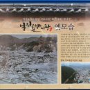 지혜네분식 이미지