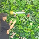 평산북3길 | [양산 평산동 비니스테틱] 스킨스케일링&amp;물방울 리프팅관리후기 피부관리샵