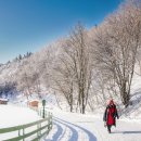 영하목장 이미지