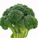 브로콜리 데치기 시간 세척 손질 하는법 효능 초장 만드는법 초고추장 만들기 이미지