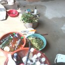 재필농장 이미지