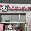 도곡생과일모찌