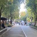 붕어빵에 미치는 28주~30주