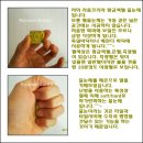 동탄지웰에스테이트 Daum카페