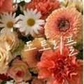 도토리플