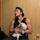 강아지 꼬순내 이미지