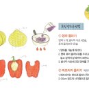 정자당한의원 이미지