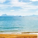 파라다이스 이미지