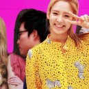 연예인눈썹 이미지