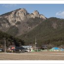 02/17 변산바람꽃 이미지