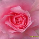 밀키웨이 이미지