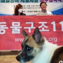 두나펫 코리아 이미지