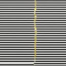 선의 빛 이미지