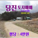 정미면보건지소 네이버블로그