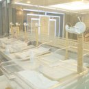 뉴이자르 산후조리원 목동점 이미지