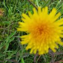 부들공원 이미지