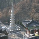 법지사
