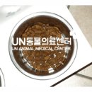 유앤동물의료센터 이미지