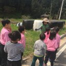 열린나라어린이집 이미지