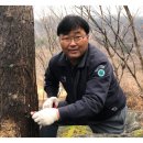 광양백운산서울대학술림고로쇠